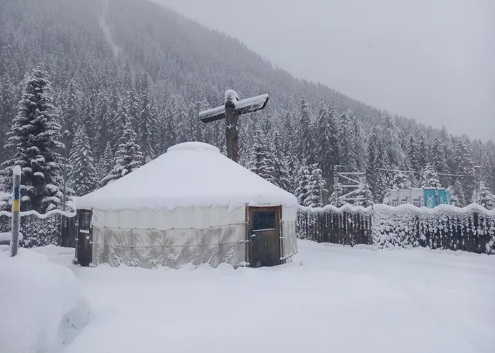Shima-Davos
